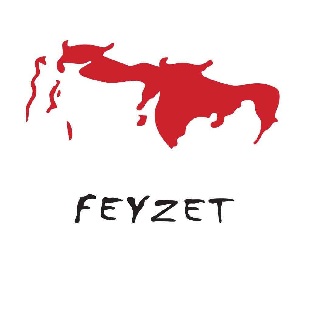 Feyzet